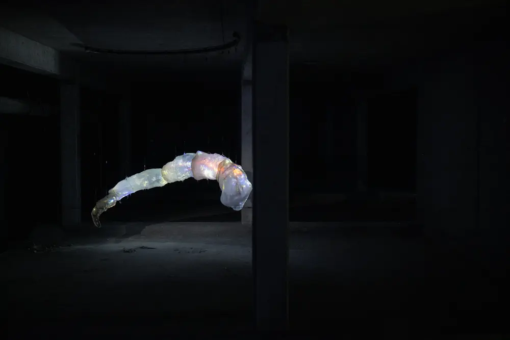 Plongée dans les abysses et acrobaties : Les Extatiques font bourgeonner Paris La Défense